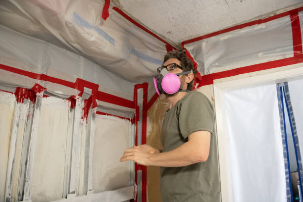 Best Air Quality Testing for Mold Spores  in Chesapeake, VA